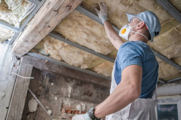 Best Insulation Installation Services in Glenwood City, WI